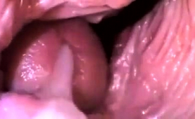 This is what cumshot looks like from inside a wet pussy